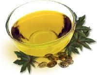 Castor Seed Oil