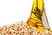 Soya Powder