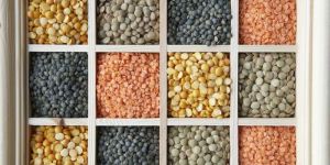 Indian Pulses