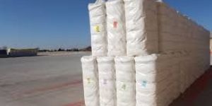 Raw Cotton