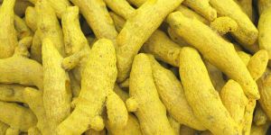 Turmeric
