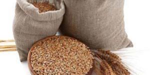 Wheat Seeds