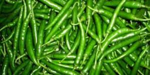 Green Chilli