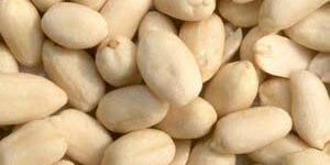 Blanched Groundnut Kernels
