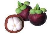 Garcinia Cambogia