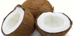 Coconut