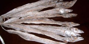 Dried Ribbon Fish