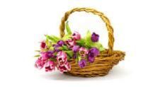 Flower Basket