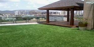 Artificial Lawn