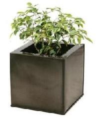 Metal Planters