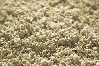 Wood Pulp