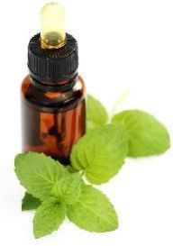 Mint Oil