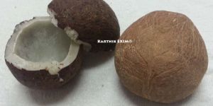 Dry Coconut