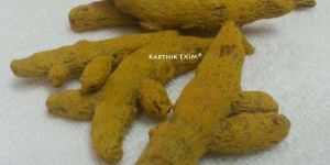 Turmeric Finger
