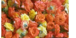 Yellow and Orange Rose