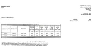 Bituminous Coal
