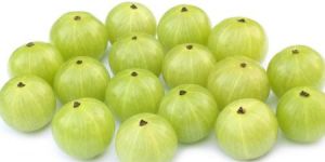 Fresh Amla