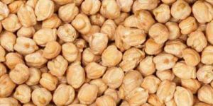 White Chickpeas