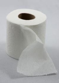 Toilet Paper Rolls