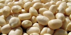Blanched Peanut