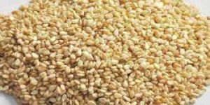 Sesame Seeds