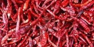 Red Chilly