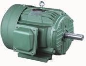 Three Phase Electric Motor