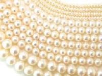 Pearl Beads
