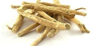 Ashwagandha Extract