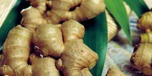 GINGER EXTRACT