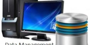 Database Management Services
