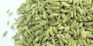 Fennel Seeds