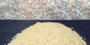 Basmati Rice