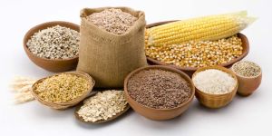 Food Grain