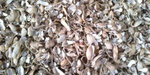 Groundnut Shells