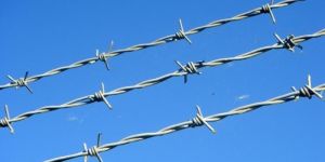 Barbed Wire