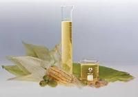 Biodegradable Lubricants