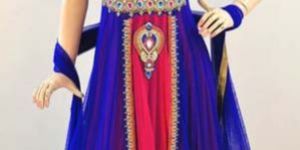 Ladies Anarkali Suits