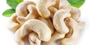 Cashew Nut