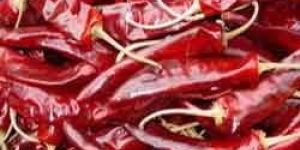 Dried Red Chilli