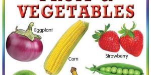 Kids Learning Charts