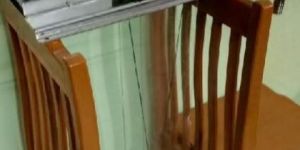 Oil Skimmer Stainless Steel Body