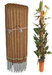 Coco Poles