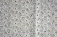 Schiffli Embroidery Fabric