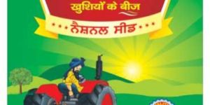 Certified Paddy Seed