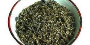 Organic Herbs