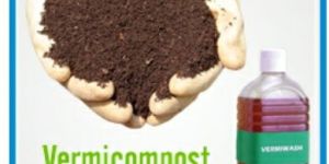 Vermicompost
