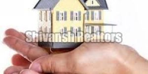 Real Estate Consultancy
