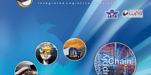 Ocean Freight Forwarding Services