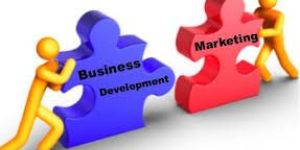 Business Development & Marketing Service